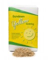 Sundown Yellow